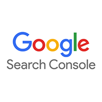 Google Search